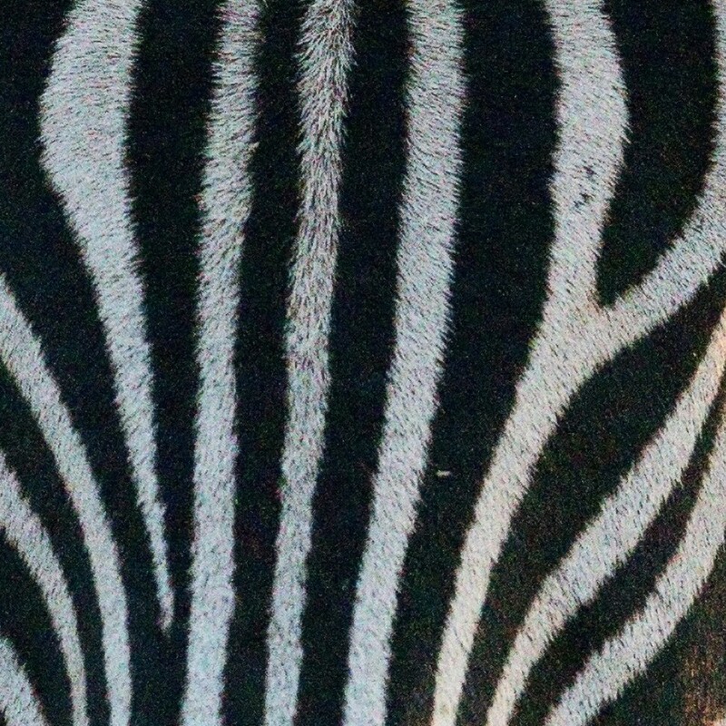 hans-veth-6VZC1vA-DMc-unsplash (1) (1)
