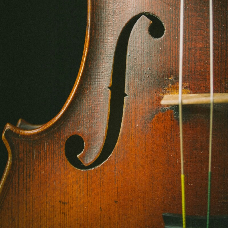 johanna-vogt-H7kVzJgum3M-unsplash (1) (1)
